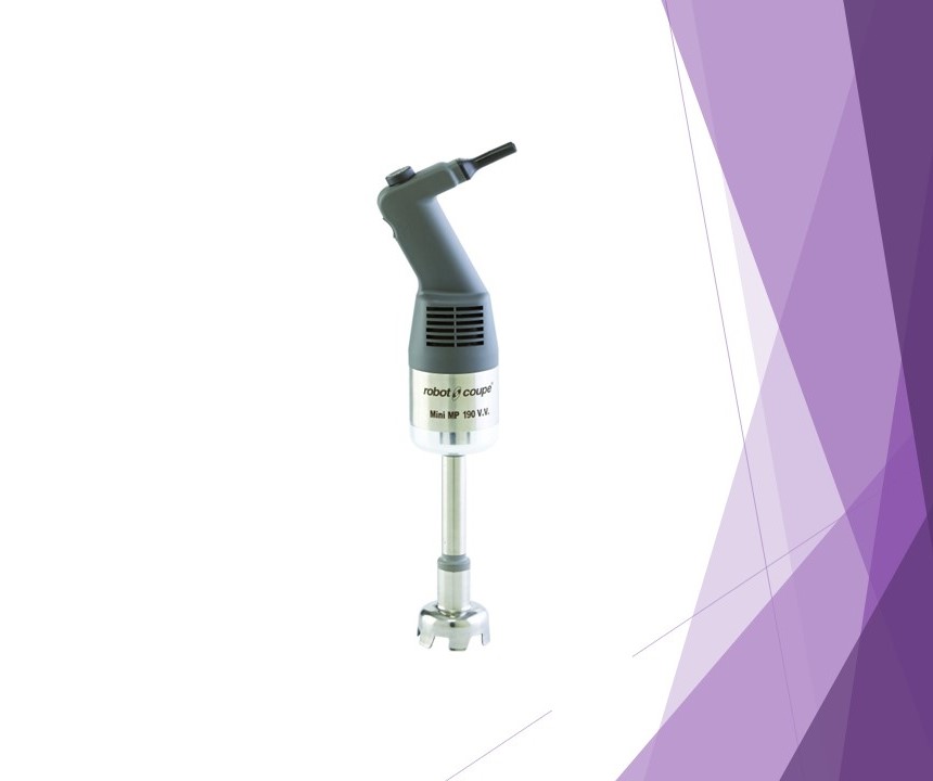 Mini MP 190 V.V. Immersion Blenders